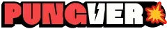 logo pungver